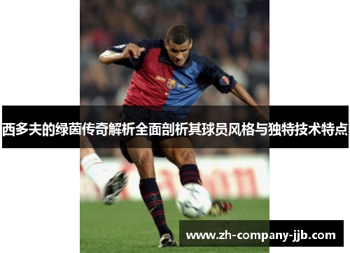 西多夫的绿茵传奇解析全面剖析其球员风格与独特技术特点